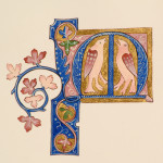 Luttrell Psalter Illuminated M by Toni Watts