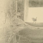 Silverpoint drawing of a wren