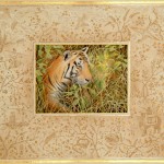 Tiger - 'Then and Now' - mixed media painting with gold leaf by Toni Watts, wildlife artist