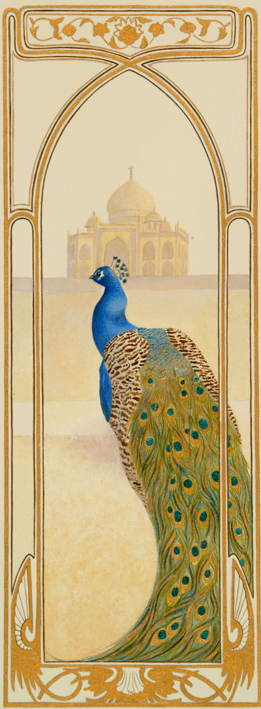 Indian Peacock.