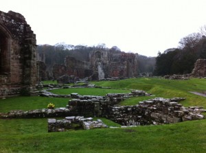 Furness Abbey - view of site