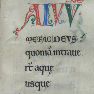 Lincoln Cathedral MS 174