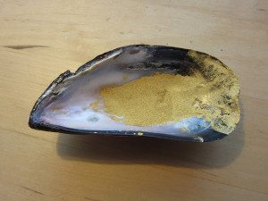 Make shell gold 4