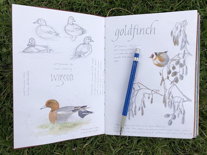 Toni Watts Nature Journal